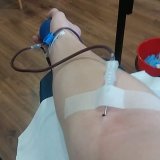 Dawcy Krwi